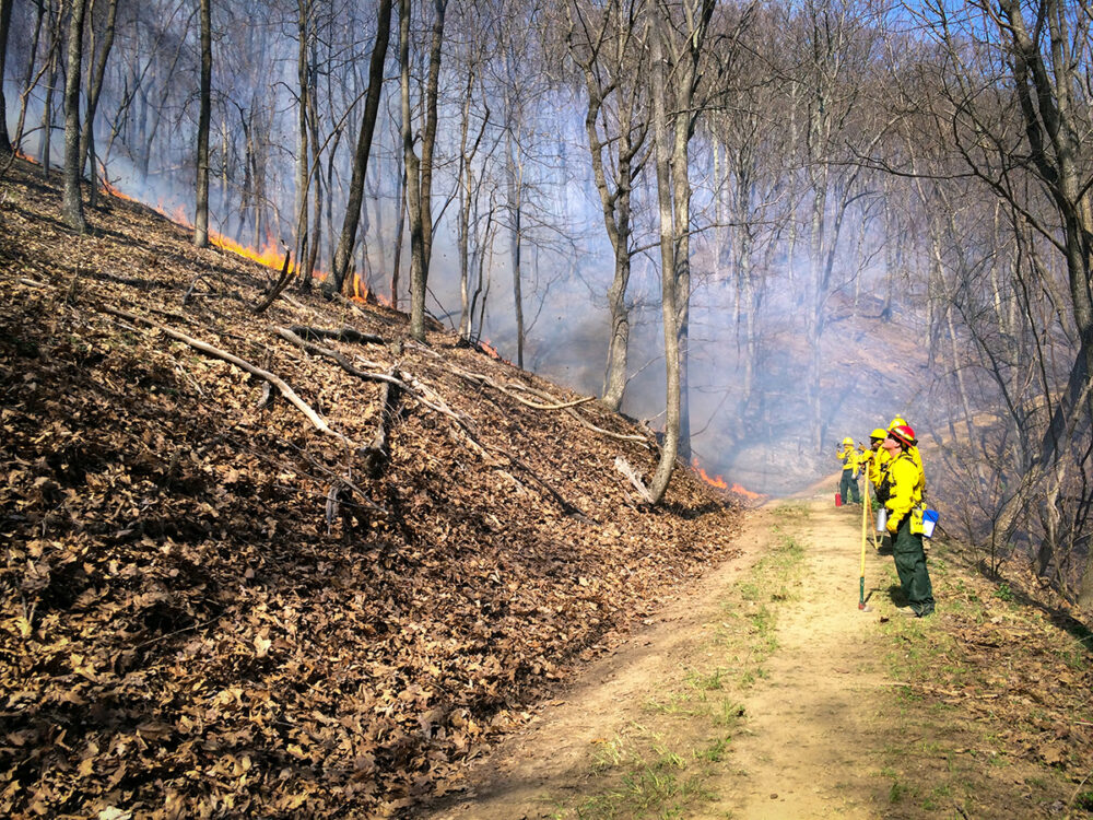 Une image d'une ligne de contrôle construite avant la brûlure.