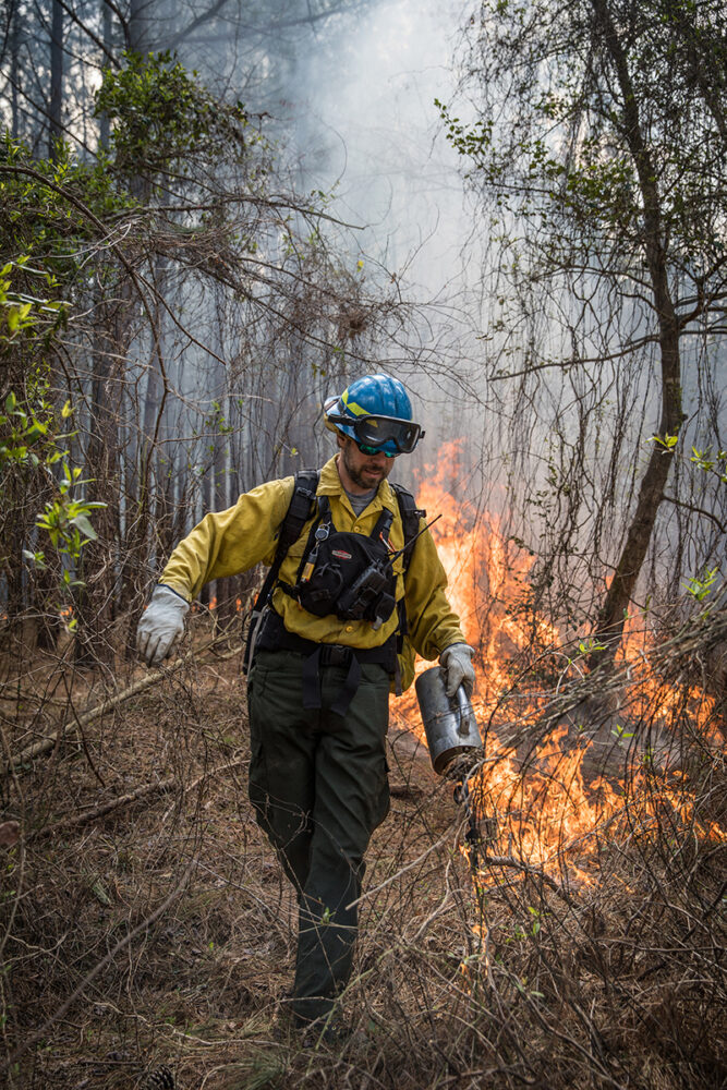 Image d'un employé du DWR appliquant une torche à goutte sur le terrain pour répandre le feu dirigé.