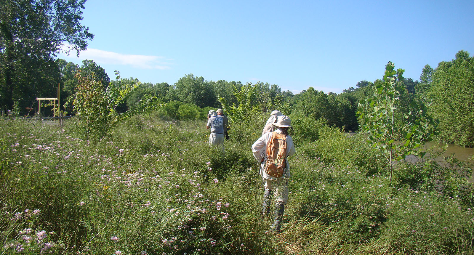Une photo de quatre personnes marchant dans un champ d'herbes à hauteur des genoux.
