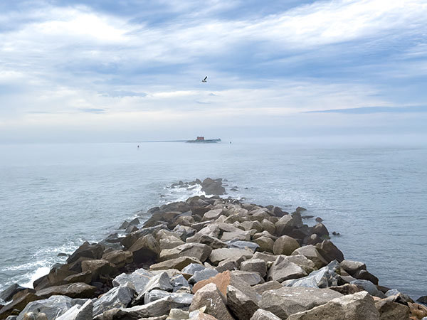 Les jetées et les rochers qui entourent l'île 4sont un lieu de rassemblement pour les goélands, les pélicans bruns et les bécasseaux violets qui hivernent. Crédit photo : Lisa Mease