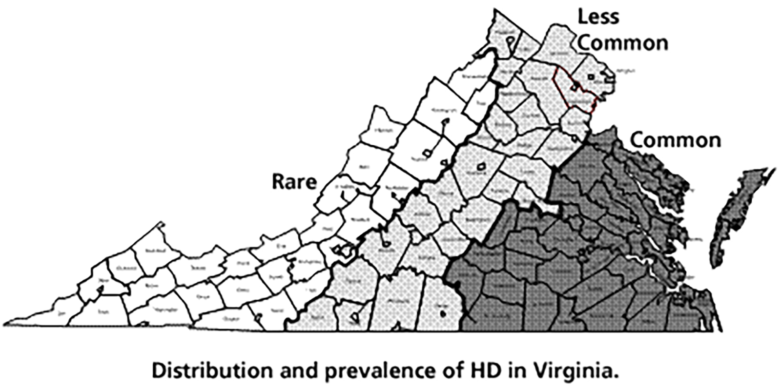 Une carte de Virginia décrivant la distribution et la prévalence de la maladie d'Alzheimer en Virginia
