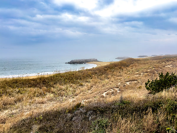 Le long de la plage de Cape Henry, vous pourrez observer aussi bien des canards plongeurs que des dauphins. Crédit photo : Lisa Mease
