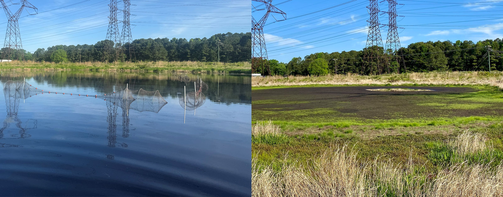 Deux photos placées côte à côte d'un étang, plein d'eau à gauche et vide d'eau et juste de la boue à droite.
