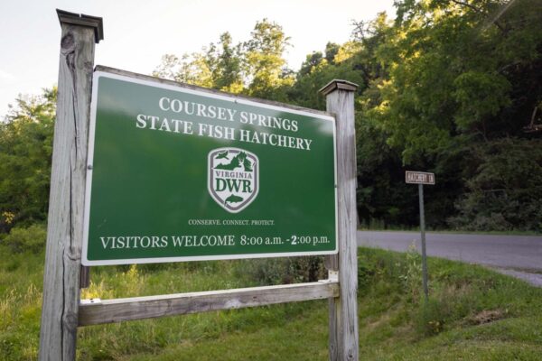 Panneau de bienvenue de l'écloserie de Coursey Springs