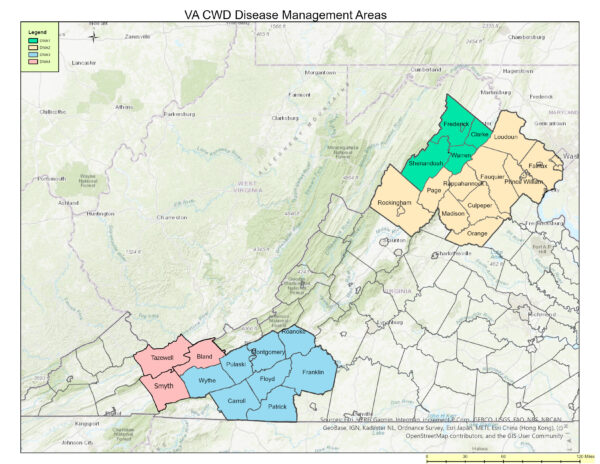 Carte de la Virginie illustrant les comtés inclus dans chaque zone de gestion de la maladie CWD pour 2025-2026