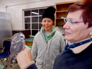 Image de deux personnes baguant une petite chouette.