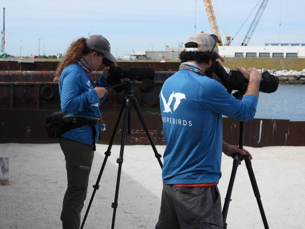 Kelsi Hunt (à gauche) et Dr. Dan Catlin (à droite) menant une étude de réobservation sur le site HRBT.