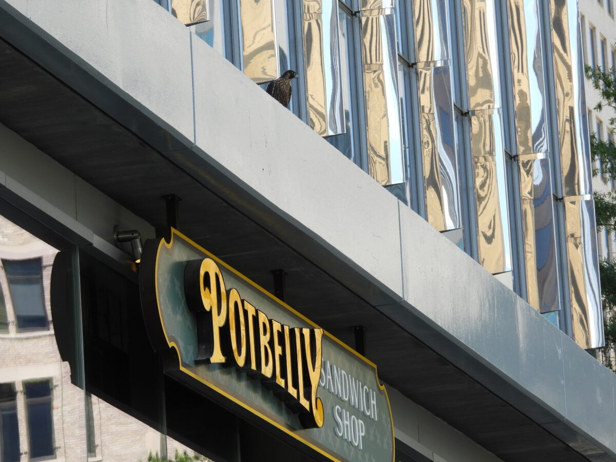 Orange" pour une sandwicherie dans l'immeuble de la Towne Bank