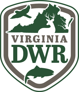Logo DWR