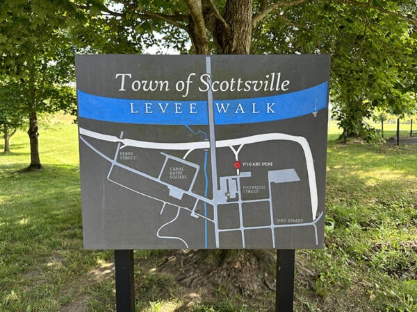 Le Levee Walk offre une vue sur la rivière James, où les hirondelles font leur apparition tout au long de l'été. Crédit photo : Lisa Mease