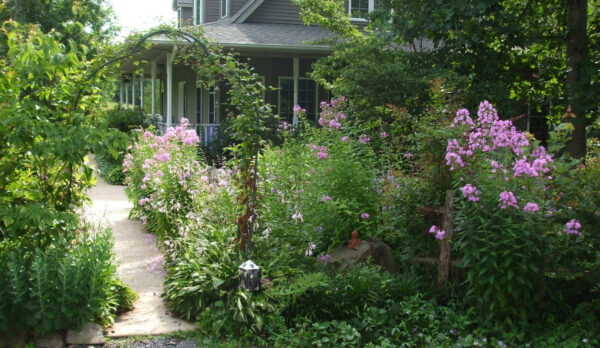 Image d'un jardin à plusieurs niveaux planté pour attirer la faune.