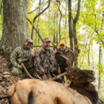 Trois hommes dans une forêt posant avec leur prise, un élan.