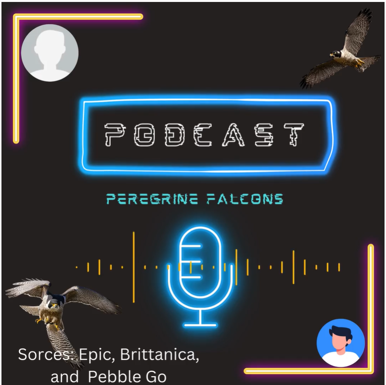 Une image du logo du podcast du programme de faucons pèlerins de l'école primaire.