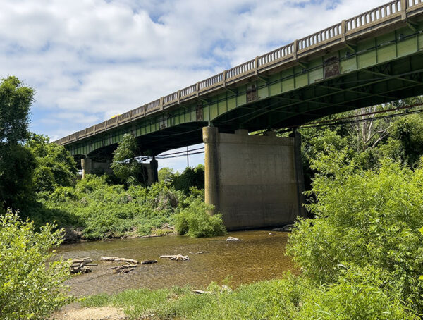 Les hirondelles de falaise nichent sous le pont de Falmouth. Crédit photo : Lisa Mease