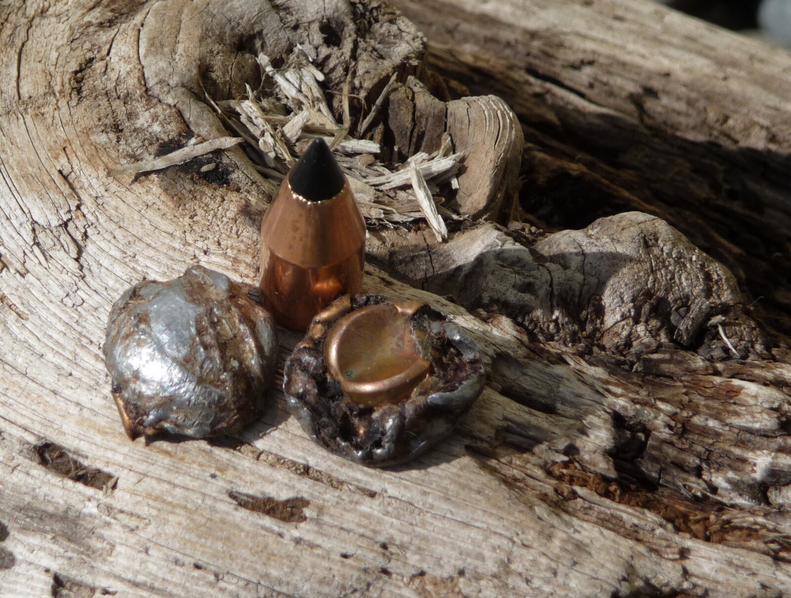 Image de balles de fusil à chargement par la bouche usagées sur un morceau de bois.