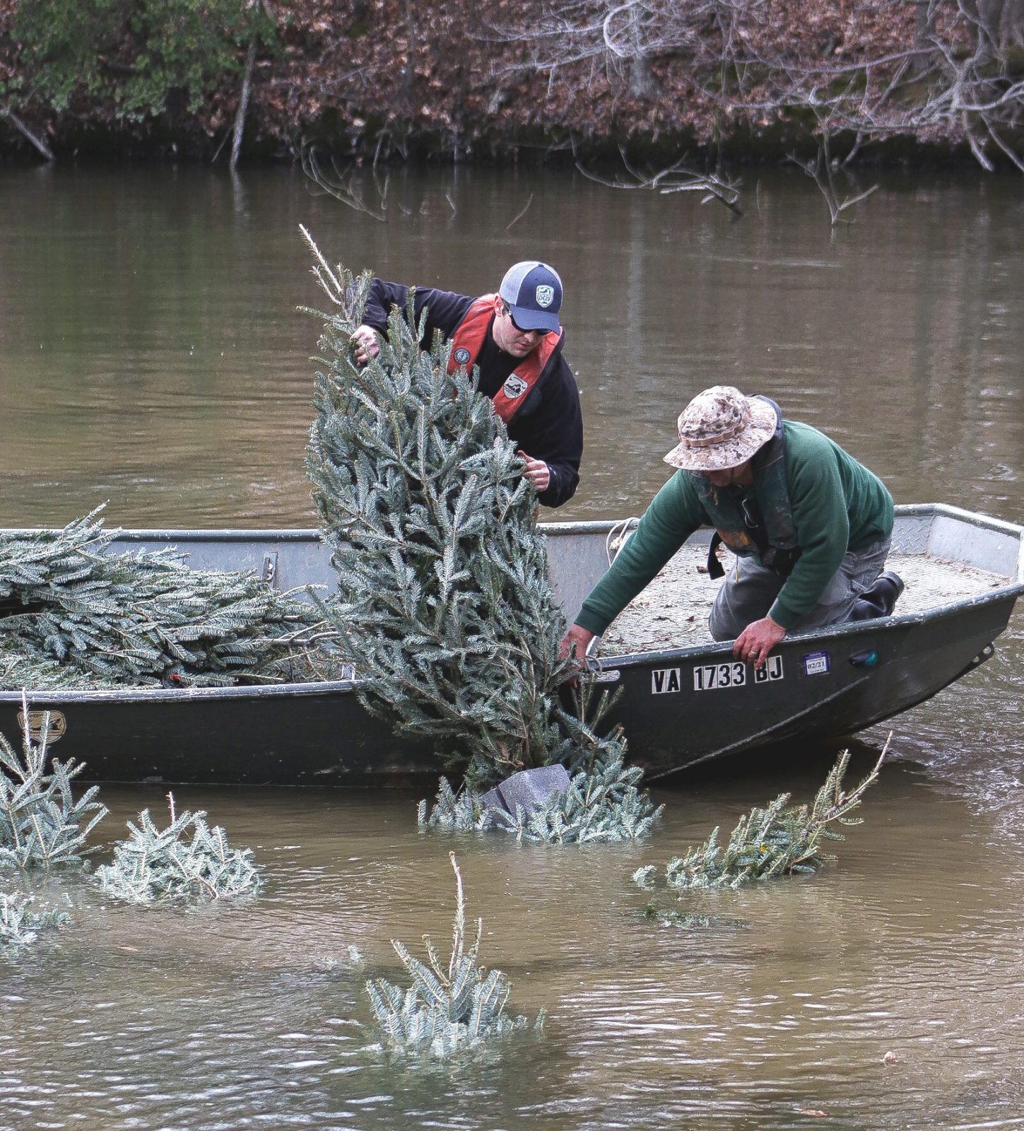 Image de deux biologistes du DWR ajoutant de vieux arbres de Noël avec des parpaings au fond d'un étang pour créer un habitat naturel.