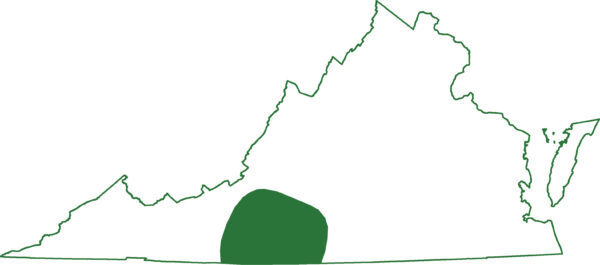 La salamandre à tête plate est présente dans une seule région du centre de la Virginie.