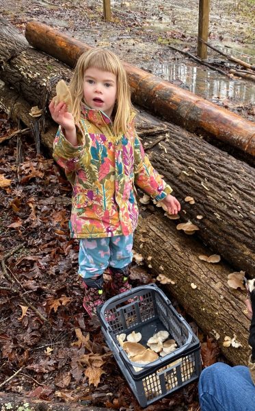 Image d'une jeune fille debout à côté d'une boîte de champignons, tenant un champignon.