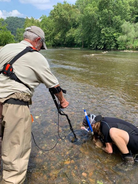 Un biologiste en apnée à la recherche de moules marquées par PIT dans la rivière.