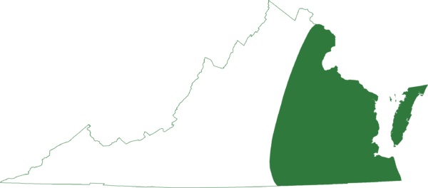 La rainette verte est présente dans toute la partie orientale de l'État, y compris dans les îles-barrières.