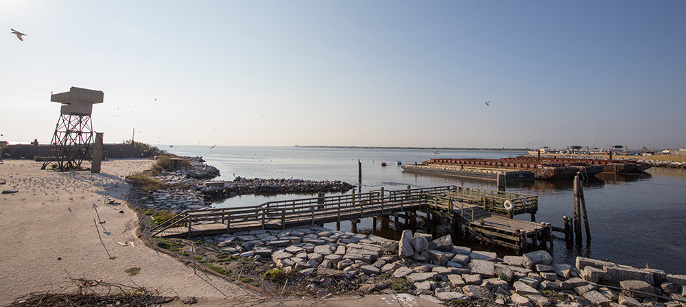 Une partie du Fort Wool récemment rénové, y compris certaines des barges placées à proximité pour améliorer l'habitat de nidification.