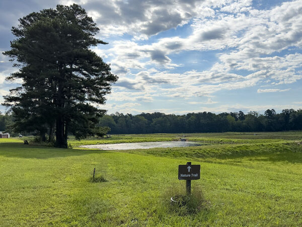 Recherchez les pluviers et les bécasseaux autour des étangs d'élevage sur le chemin de la forêt. Crédit photo : Lisa Mease