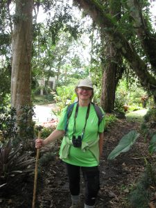 Image d'une jeune fille avec un bâton de randonnée dans une forêt de feuillus.