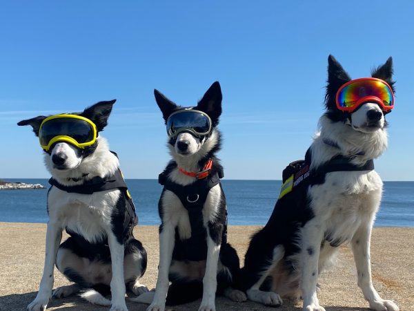 Bett, Zoé et Hoop, toutes équipées de leur équipement de sécurité. 