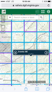 Une image des blocs divisés en grille