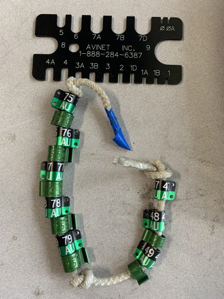 Bandes inutilisées et outil de dimensionnement des jambes. Les faucons pèlerins femelles portent une bague de taille 7A tandis que les mâles portent une bague de taille 6.