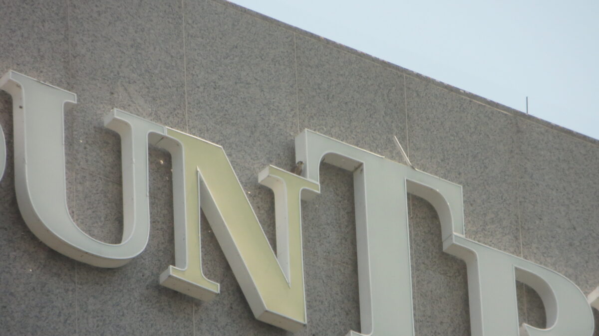 Un jeune faucon pèlerin sur le site "N" de l'enseigne SunTrust.