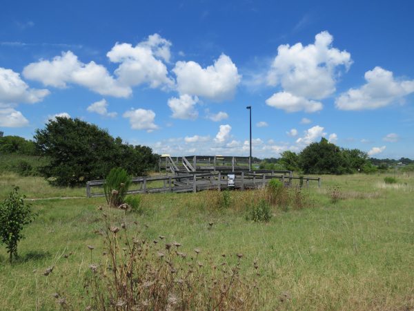 Image d'une plate-forme d'observation de la faune et de la flore en bois dans un pré, construite pour surplomber Mill Creek.