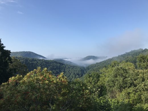 Une image de montagnes boisées