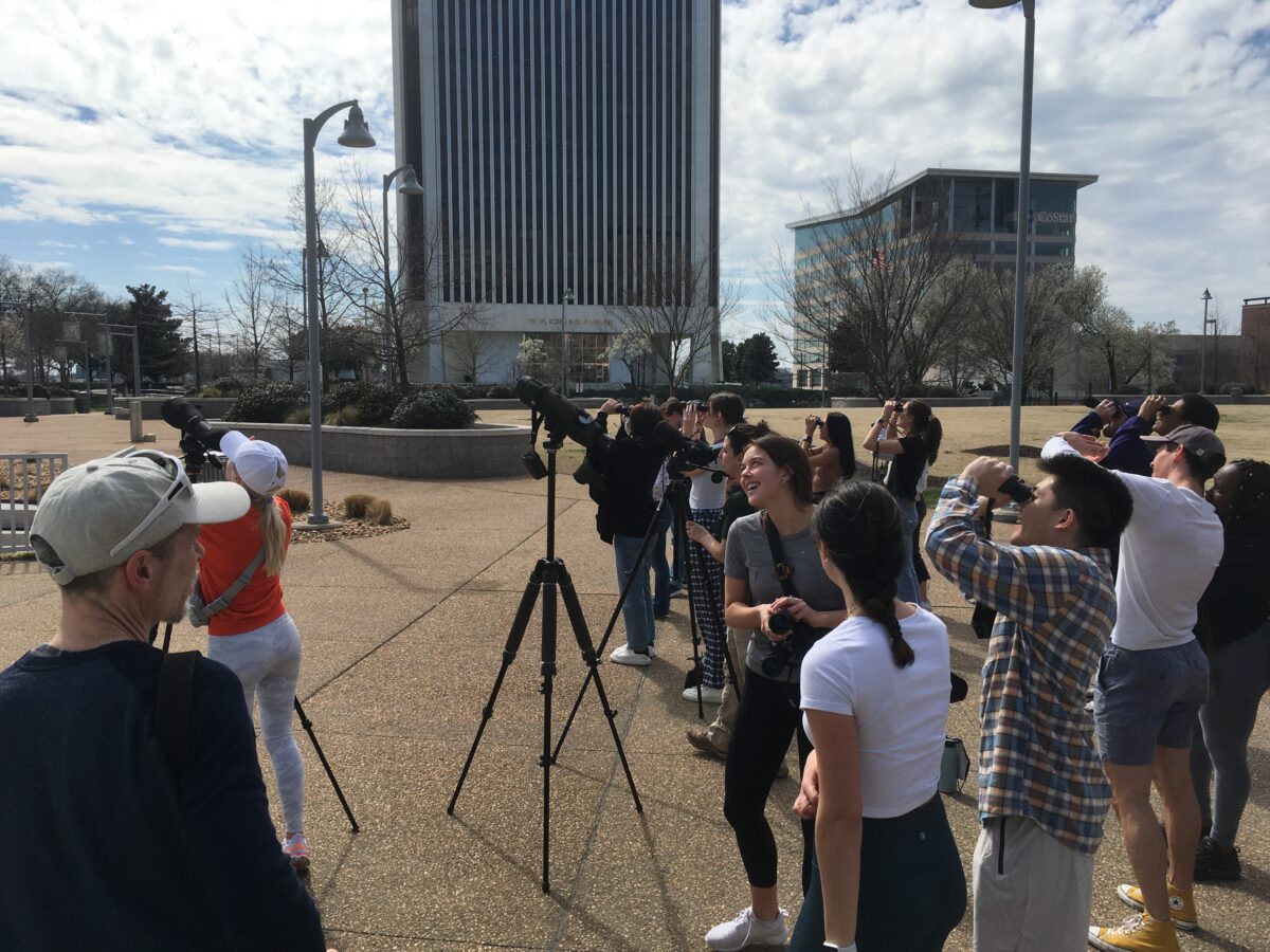 La classe d'écologie urbaine et d'évolution de l'Université de Richmond et les biologistes du DWR surveillent les faucons.