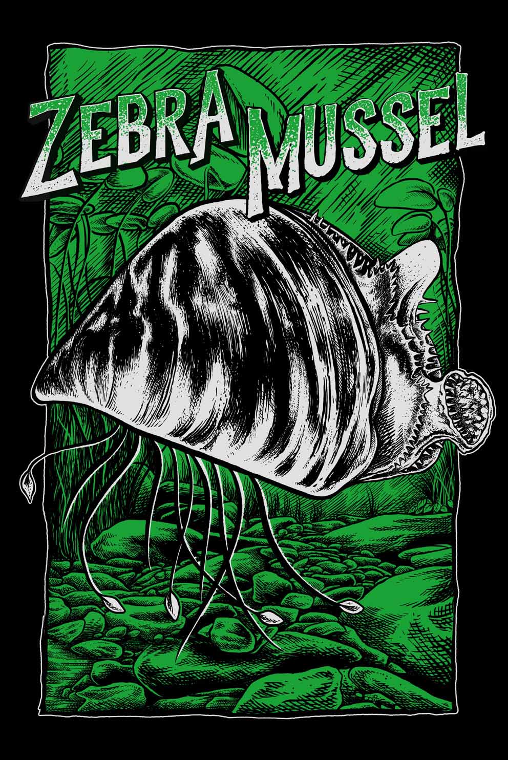 Moule zébrée