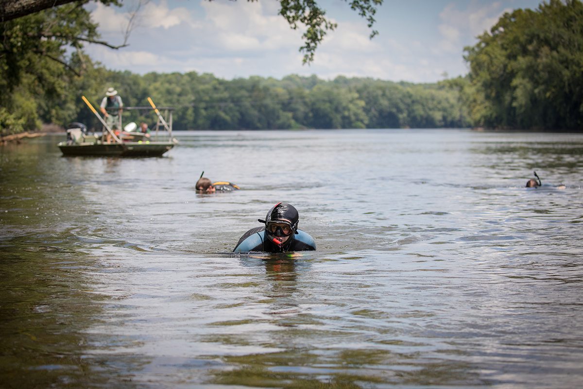 Image d'employés du DWR faisant de la plongée en apnée à la recherche de moules dans la rivière.