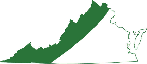 La salamandre de Jefferson est présente dans toute la chaîne de montagnes des Appalaches.