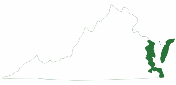 La tortue de Kemp Ridley ne se trouve que sur la côte est de la Virginie.