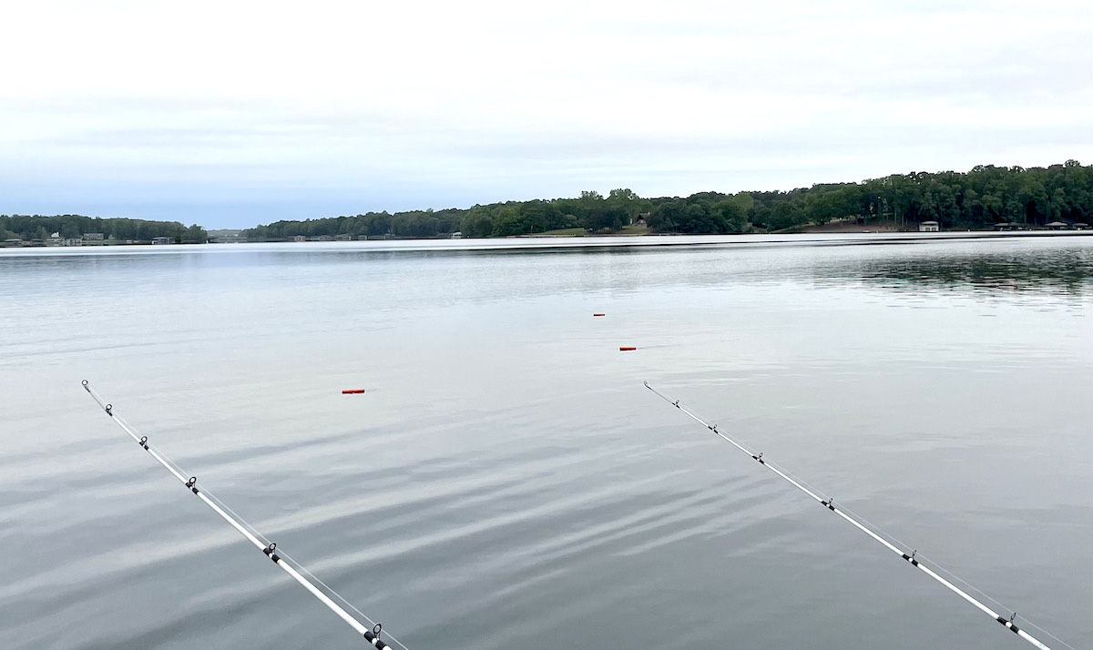 Image d'une planche planaire dans l'eau ; elles sont petites et rouges et attachées à un dispositif ressemblant à une canne à pêche sur le bateau.
