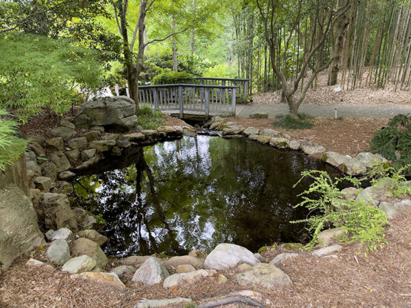 La vallée asiatique est un espace de méditation tranquille. Derrière la forêt de bambous, on peut entendre des towhees de l'Est. Crédit photo : Lisa Mease