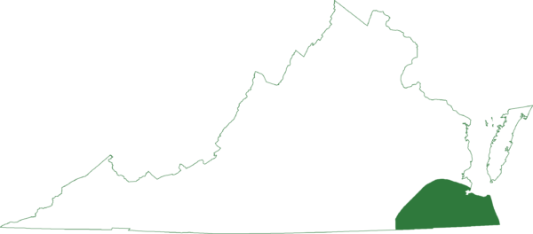 La petite grenouille se trouve dans les régions du sud-est de la Virginie.