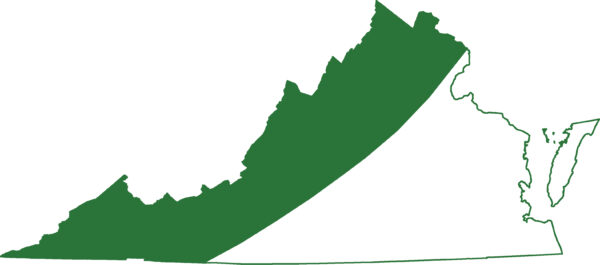 La salamandre à longue queue est présente dans toutes les chaînes de montagnes de Virginie.