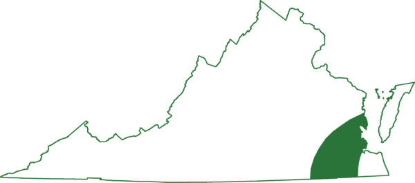 La salamandre de Mabee se trouve dans les régions les plus méridionales de la Virginie, le long de la plaine côtière.