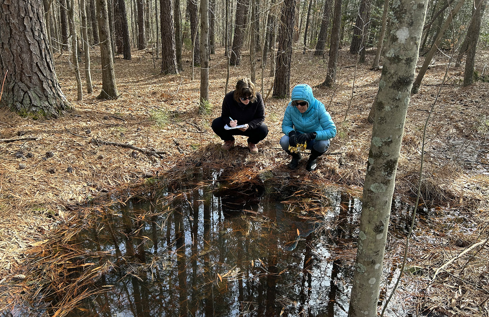 Une photo de deux femmes accroupies à côté d'un petit étang dans les bois et regardant dans celui-ci, en train d'écrire dans un carnet.