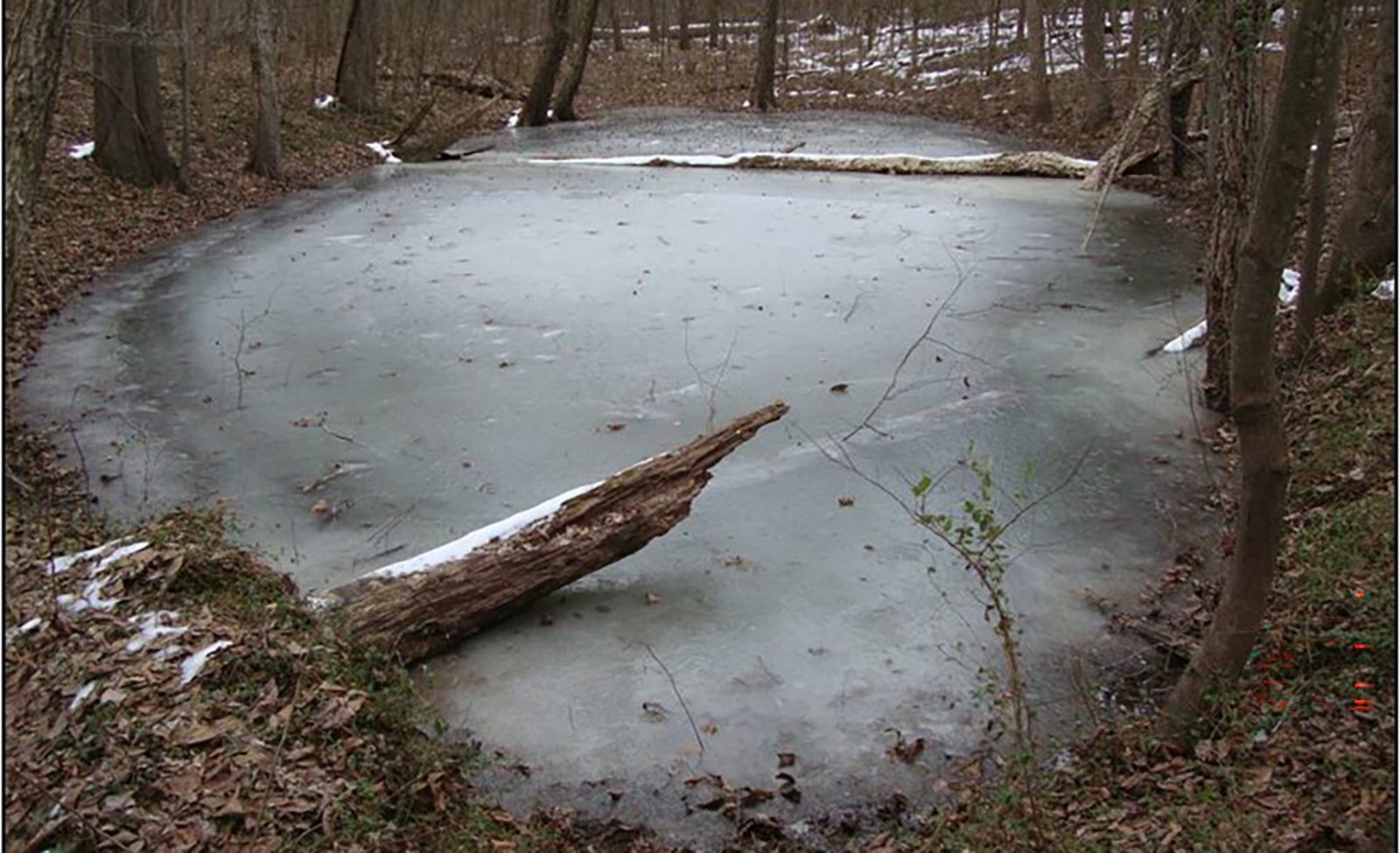 Une photo du même petit étang rempli d'eau et recouvert de glace.