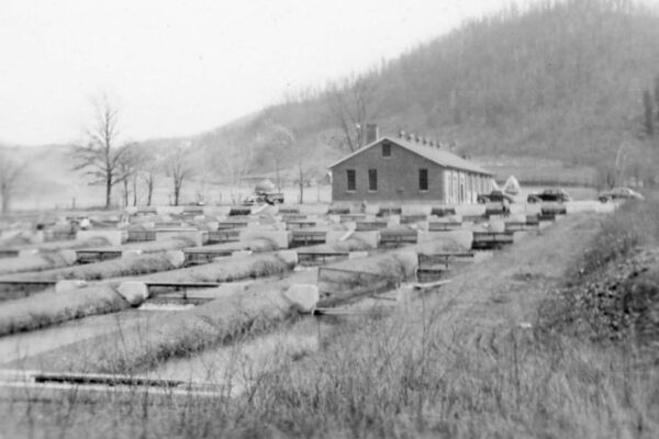 Image en noir et blanc : Voies d'accès historiques à la station piscicole Marion