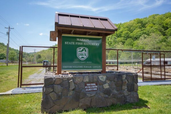 Le panneau d'accueil de l'écloserie Marion