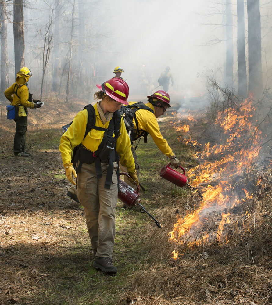 Des allumeurs en tenue de protection allument une ligne de feu. 