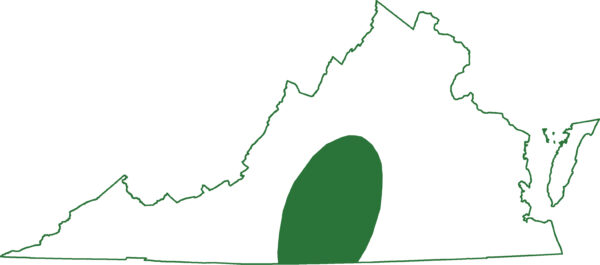 La salamandre taupe se trouve dans le piedmont, dans les régions les plus centrales de la Virginie.
