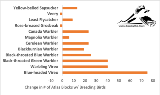Un tableau dans le bloc Présence des oiseaux chanteurs montagnards, il y a peu de gros-becs à poitrine rose et de vairons, mais beaucoup de viréos à tête bleue.